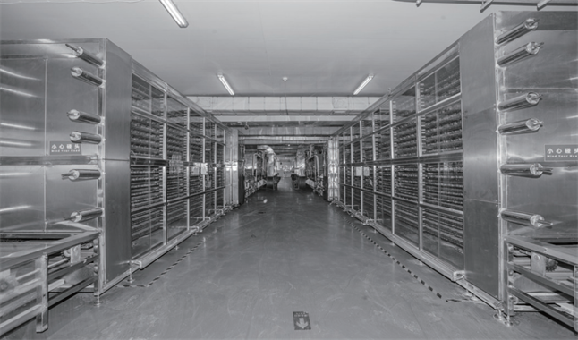 大连弘润 以“品质力量”加冕，无麸质有机面如何重塑行业标杆与市场格局